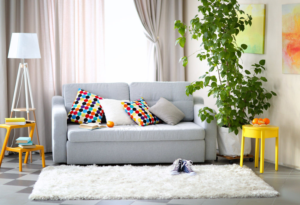 Apretura – najlepszy sposób na odświeżenie dywanu!